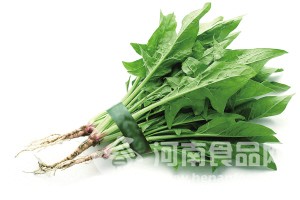 綠葉蔬菜可克制黃曲霉素