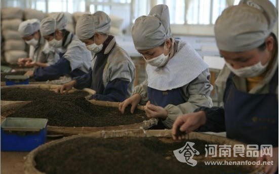 普洱茶