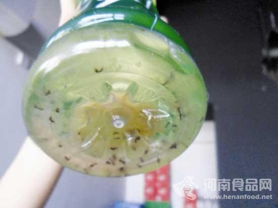 某品牌飲料內浮有多只死螞蟻 瓶底有懸浮物(圖)