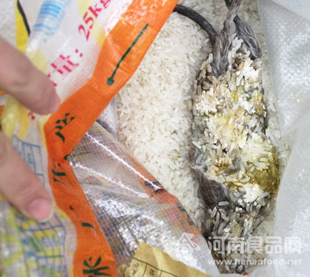 袋裝米驚現死老鼠