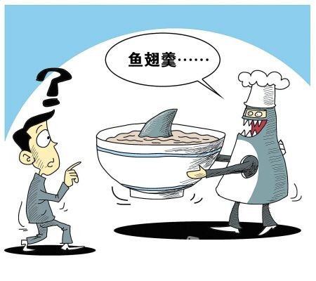 問題魚翅