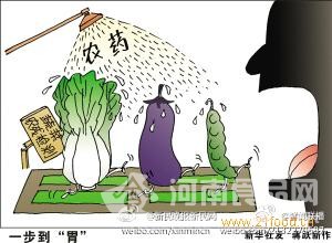 禁用農藥 何以一再驚擾餐桌