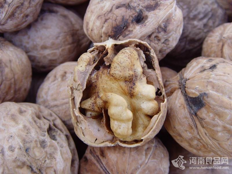 “瑞庚”紙皮核桃霉菌超標164倍