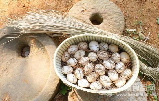 蛋黃精拌飼料喂出土雞蛋