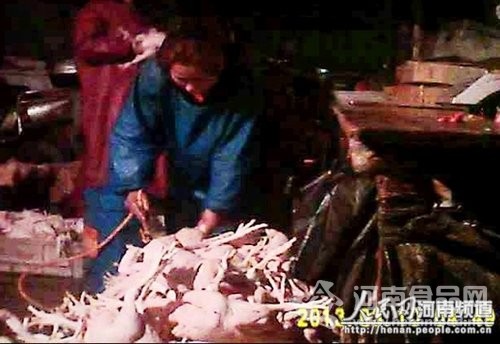 注水雞
