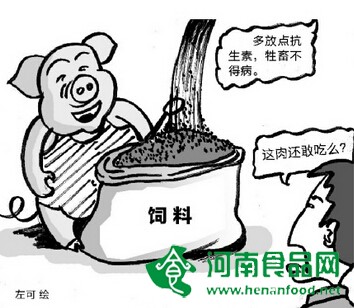 記者調查養豬濫用抗生素：小豬出生三天注射土霉素